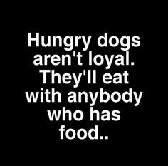 the words hungry dogs aren't loyal they'll eat with anybody who has food