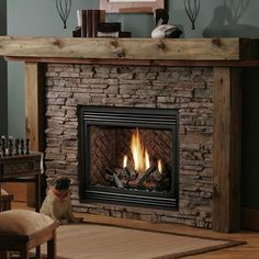 a dog sitting in front of a fire place