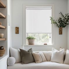 a white couch sitting under a window next to a potted plant