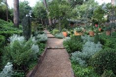 a path in the middle of a garden with lots of trees and plants on both sides