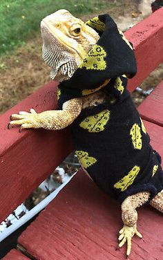 a lizard is sitting on a red bench wearing a black hoodie with yellow lettering