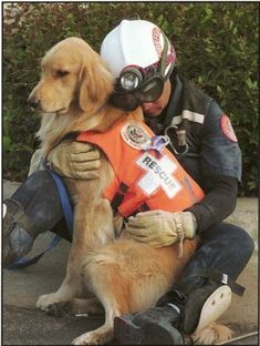 a man sitting on the ground with his dog wearing an orange vest and helmet,