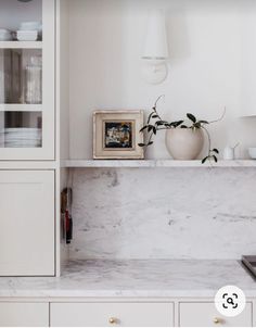 a kitchen with white cabinets and marble counter tops, including a potted plant on the shelf