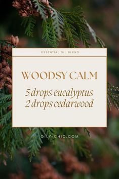 Cedarwood Essential Oil Blends, Incense Ideas, Oil Blends For Diffuser, Essential Oil Blends For Diffuser, Fall Essential Oils, Fragrance Blends