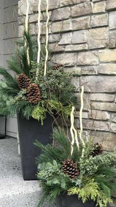 two large planters with pine cones and greenery on the side of a house