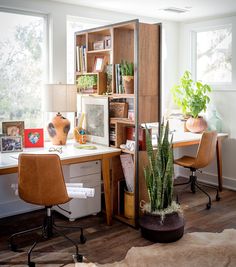 a home office with desk, bookshelf and plants