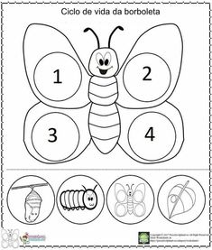 the life cycle of a butterfly worksheet for kids to learn how to draw and color