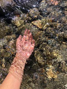 a person's hand reaching for something in the water near some rocks and stones