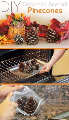 pine cones are being cooked in the oven and then placed on top of each other