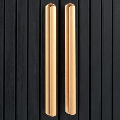 two gold handles on a black door with vertical slats in the front and side