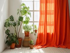 three potted plants sit in front of a window with an orange drape on it