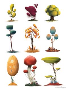 various trees and mushrooms are shown in this illustration, with the words jungle trees written below them