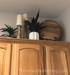 some plants are sitting on top of a cabinet