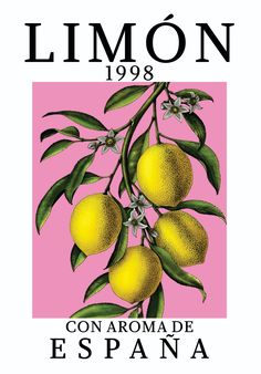 a pink poster with lemons on it and the words limoon 1909 written in spanish