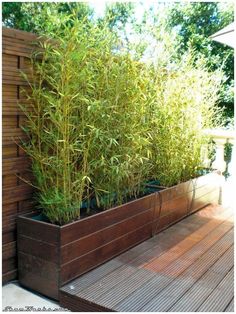 a planter filled with lots of green plants on top of a wooden deck