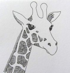 a drawing of a giraffe's head is shown