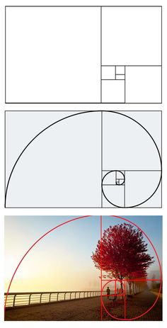 an image of a tree in the middle of a field with red circles around it