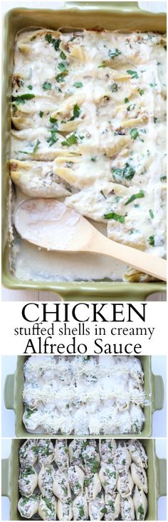 chicken stuffed shells in creamy alfredo sauce is an easy and delicious side dish for any meal