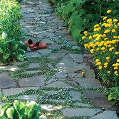 a pair of shoes sitting on top of a stone walkway next to flowers and plants