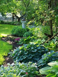 a garden filled with lots of green plants and flowers next to a white picket fence