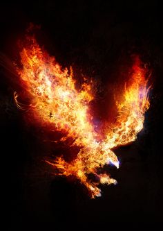 an image of a man in front of a fire bird with flames coming out of his face