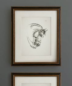 two framed pictures hanging on the wall next to each other, one with a horse's head