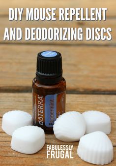 diy-mouse-repellent-discs Diy Mouse Repellent, Diy Crafts For Mom, Crafts For Mom, Repellent Diy, Mouse Repellent, Diy Mouse, Pest Repellent