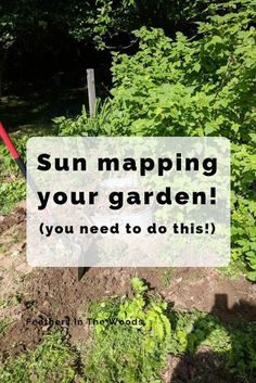 a garden with the words sun maping your garden you need to do this