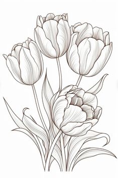 Tulip Flower Drawing, Flower Sketch Pencil, Printable Drawings, Doodle Practice, Art Topics, Tulip Drawing, Printable Flower Coloring Pages, Draw Tutorial