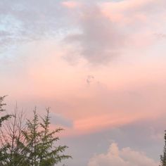 the sky is pink and blue with some clouds in it, as well as trees