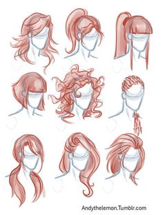 a bunch of drawings of different types of hair