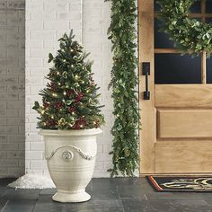 a potted christmas tree sitting in front of a door