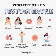 zinc effects on testosterone Decrease Androgens In Women, Zinc For Women, Foods That Lower Testosterone In Women, Lowering Testosterone In Women, Supplements For Hirsutism, Zinc Benefits Women, Food For Hormone Balance For Women, How To Lower Testosterone In Women