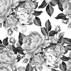 black and white roses on a white background wallpaper mural decal sticker for walls