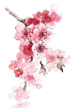 watercolor painting of pink flowers on white background