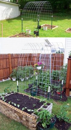 an outdoor garden with several different types of plants in it and the same type of planter