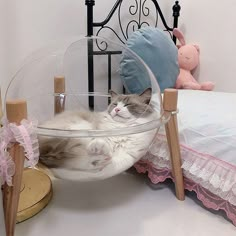 a cat laying in a glass bowl on a bed