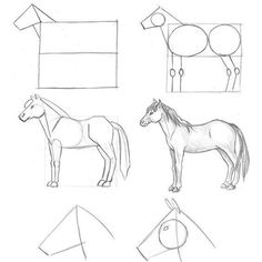 four different types of horses are shown in this drawing lesson, which shows how to draw them