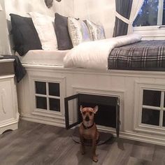 a dog is sitting on the floor in front of a bed