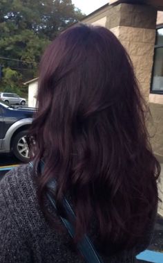 Maroon Hair, Dark Purple Hair, Plum Hair, Hair Dye Ideas