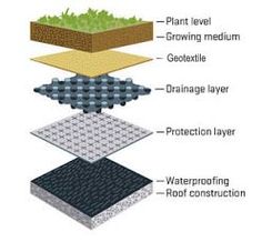 an image of different types of soiling materials in the form of plants and flowers