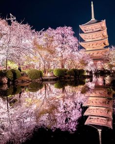 Japan Photography, Japanese Chin, Neon Wallpaper, South Korea, Beautiful Places, Trees, Japan, Photography