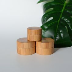 three small wooden containers sitting next to a green plant