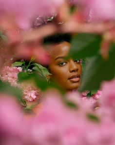 a woman is looking out from behind some pink flowers