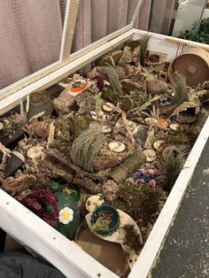 a box filled with lots of different types of plants and dirt in it's sides