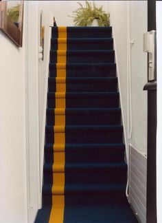 blue and yellow carpeted stairs leading up to a door with potted plant on top