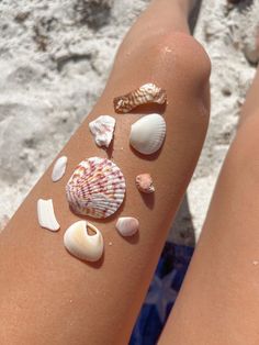 shells and seashells are on the legs of a woman's leg at the beach