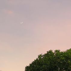 an airplane is flying in the sky over some green trees and bushes, with a half moon behind it