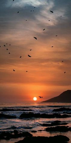 birds flying over the ocean at sunset with a mountain in the distance and clouds above