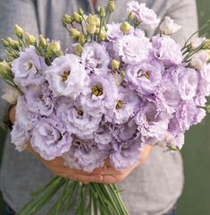 a person holding a bunch of flowers in their hands